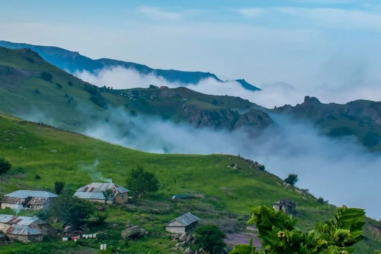 تور کیش