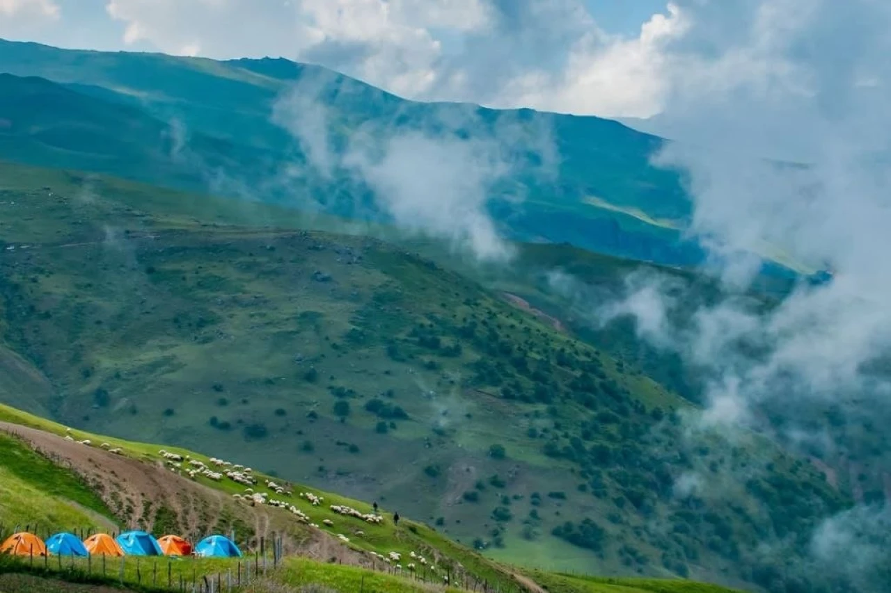 تور کیش